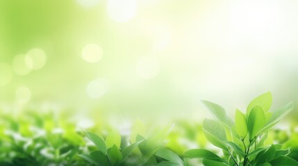 Green leaves eco-friendly background with place for text. Concept of ecology and healthy environment