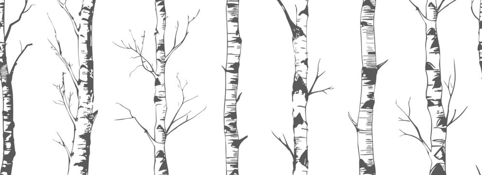 Tree horizontal seamless pattern. Birch trunks and textures. Trees forest elements. Nature graphic, decorative vector background