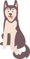 Huskies Dog Pet