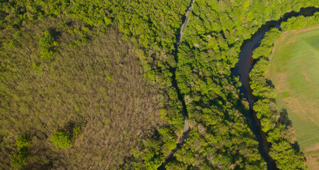 Forest of the Dordogne valley view from a drone