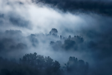 Aerial view of a green forest in the mist of the Dordogne valley