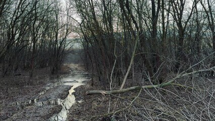 off-road. muddy way in the forest early spring just melted the snow. road dirt water puddles off-road in the forest. xtreme path forest no road lifestyle water mud puddles