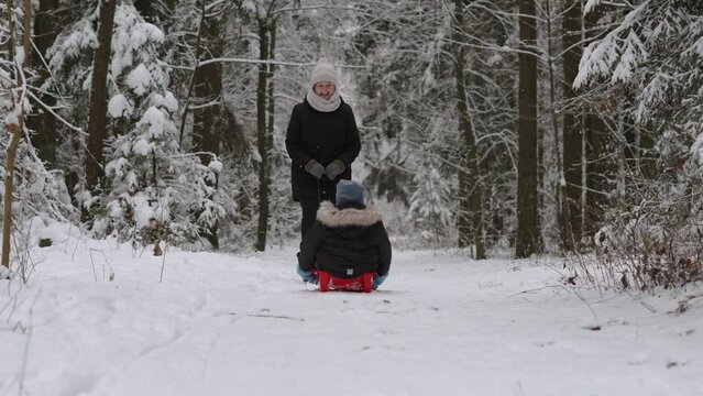 Positive woman rolls child on red sled through snowy forest and smiles at him, gimbal shot. Happy family walking on cloudy weekend through picturesque forest area with snow on branches.