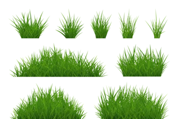 Fotobehang Set green grass bunch and tuft Isolated PNG © Glitter_Klo