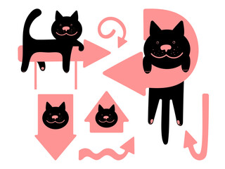 A set of pink arrows with a funny black cat.