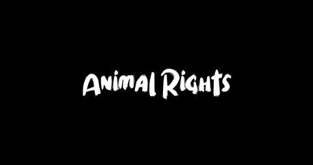 Animal Rights Effect of Grunge Transition Bold Text Typography Animation on Black Background 