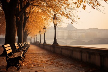 the romantic ambiance of Paris in the fall. the golden hues of the leaves on the trees lining the Seine River, contrasted with the timeless grey of the cobblestone streets