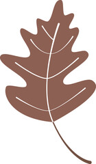 Obraz premium Floral Botanical Leaf