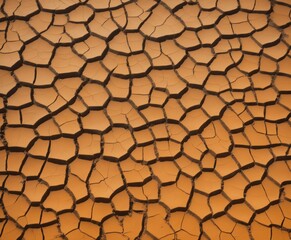 Dry land texture, background image