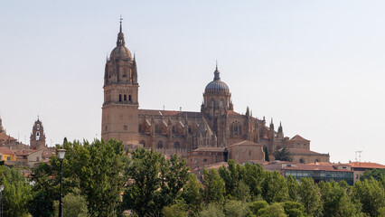 Fototapeta na wymiar cathedral of Salamanca