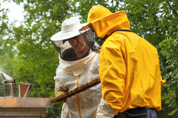 Beekeepers in a protective suit and gloves working on the apiary. Eco apiary in nature. Beekeeping. A house for bees.