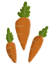 carrot