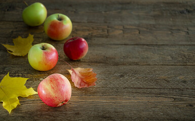 Close up apples on wooden rustic background with copy space. Harvest and Thanksgiving.
