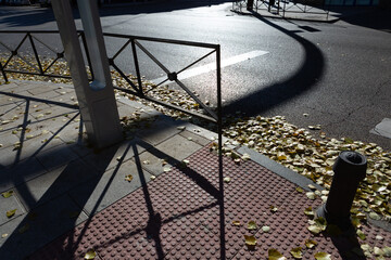 Paisaje urbano de otoño con hojas amarillas en la calle y acera con sombras de semáforos en...
