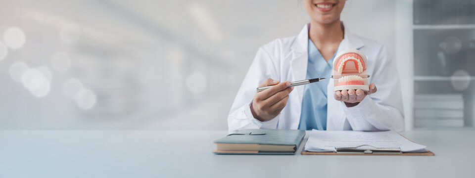 Female dentist with dentures for explaining teeth, recommending orthodontic guidelines, dentist consulting patient's symptoms and endodontic treatment. Dental treatment concept.