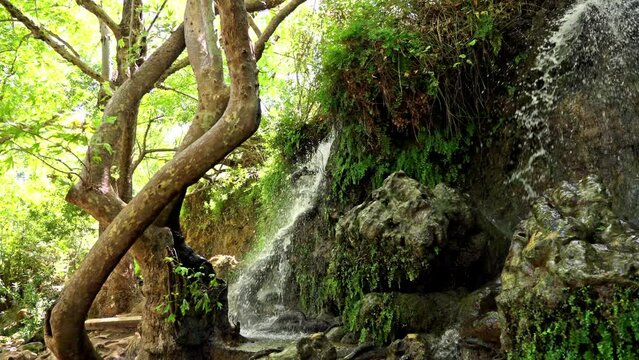 Streams in northern the Israel Hasbani River one of the source of the Jordan River