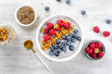 Healthy Chia Pudding Bowl with Granola and Fresh Berries