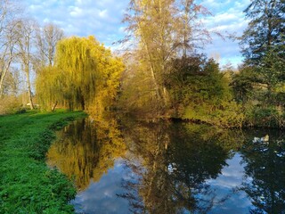 Reflets d'arbres aux couleurs automnales dans l'eau de la rivière