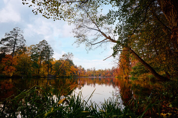 Colors of fall. Beautiful autumn landscape with forest and lake.
