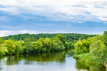 Obraz premium Beautiful grass swamp reed growing on shore reservoir in countryside