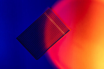 Blue and red gradient light. Palm tree leaves and podiums in neon lights on abstract background. Trendy geometric shapes. Mock up. Minimalism, 90s, 80s concept. close up	