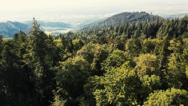 Freiburg im Breisgau Schwarzwald Drohne