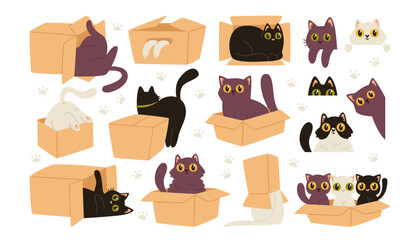 Cute happy little cat pet animal character in, near, under, above cardboard box isolated set