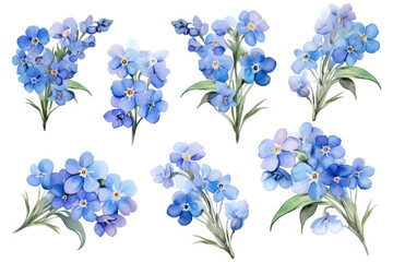 Watercolor image of a set of not forget me flowers on a white background