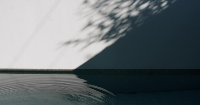 Water wave and ripples of blue swimming pool and tree or plant shadow on concrete wall at sunny day. Abstract background
