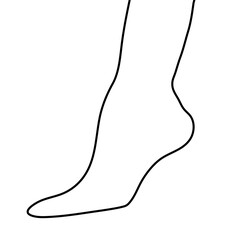 hand drawn vector illustration of a woman foot