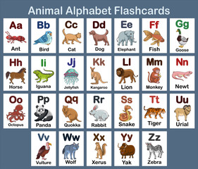Set of Animal Alphabet flash card design illustration for kids A to Z for education and game