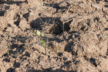 he freshly tilled fields of the farmers