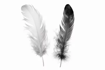 Papier peint Plumes Black and white feather PNG image with transparent background