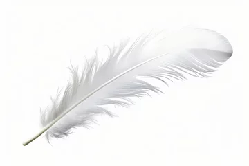Tableaux sur verre Plumes White feather isolated on transparent background - high quality PNG