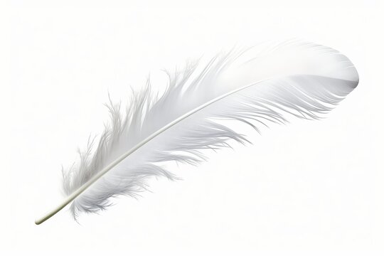 White feather isolated on transparent background - high quality PNG
