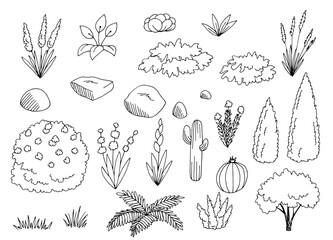 Grass flower set graphic black white isolated sketch illustration vector - 643619799