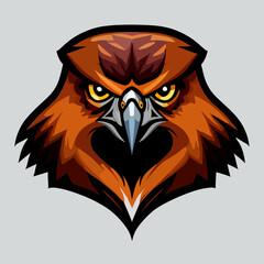 falcon head logo