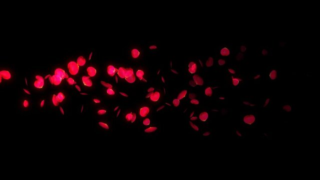 赤い薔薇の花びらのパーティクル アルファ付