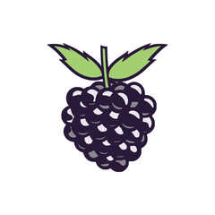 simple blackberry fruit food nature healthy logo vector illustration template design