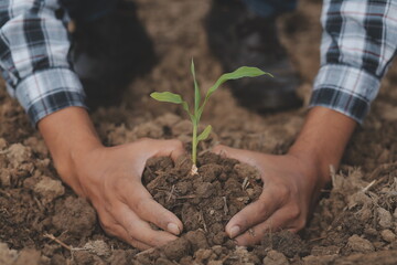 Symbol heart earth day. Handful of dirt hands heart shape. Farm organic earth. Farmer hands soil...