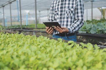 Naklejka na ściany i meble In the Industrial Greenhouse Two Agricultural Engineers Test Plants Health and Analyze Data with Tablet Computer.