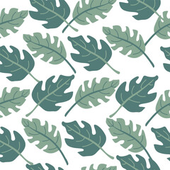 Seamless pattern with leaves monstera - 643627352