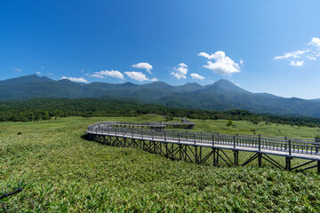 知床五湖　高架道