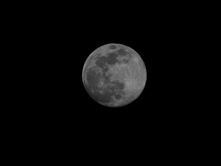 Fototapeta premium moon