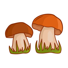 Cartoon mushrooms. A set of isolated vector illustrations of edible mushrooms. Vector illustration