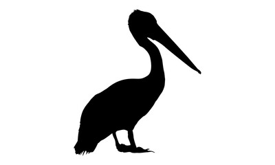 pelican silhouette on a leaf background