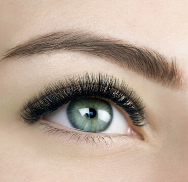 Macro shot of female green and eye with 2d 3d 4d volume long false lashes. Young woman with perfect eyes cat shape and beautiful black eyelash extensions. Closeup beauty photo of lash extension