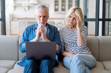 Upset mature couple looking at computer and getting shocking bad news