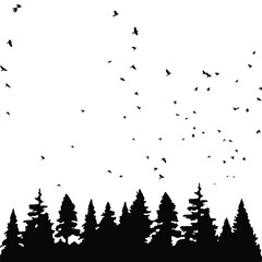 forest and flying birds silhouette