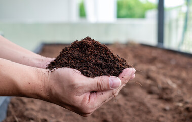 Hand holding fertile black soil. Agriculture, organic gardening, planting or ecology concept....